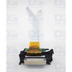 Cabeça de impressão 6000005975 Roland VG/SG | DG Spare Parts