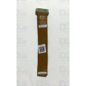 1070054749 - Nappe Colorado