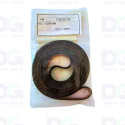 11929116 - CX-24/GX-24 Belt, 1526P2M6
