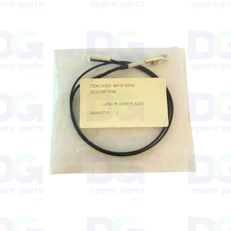 E103191 - Thermistor P 75 assy